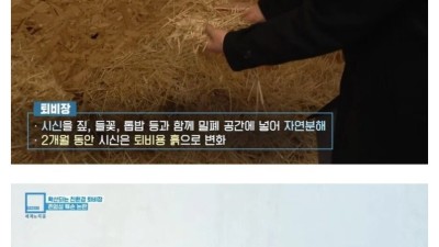 미국에서 논란중이라는 장례 방식