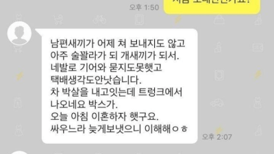 중고나라 유부녀 급발진