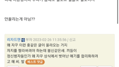 누나 몸매좋으면 꼴리는거아님?