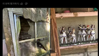 산속 폐허에서 발견된 물건